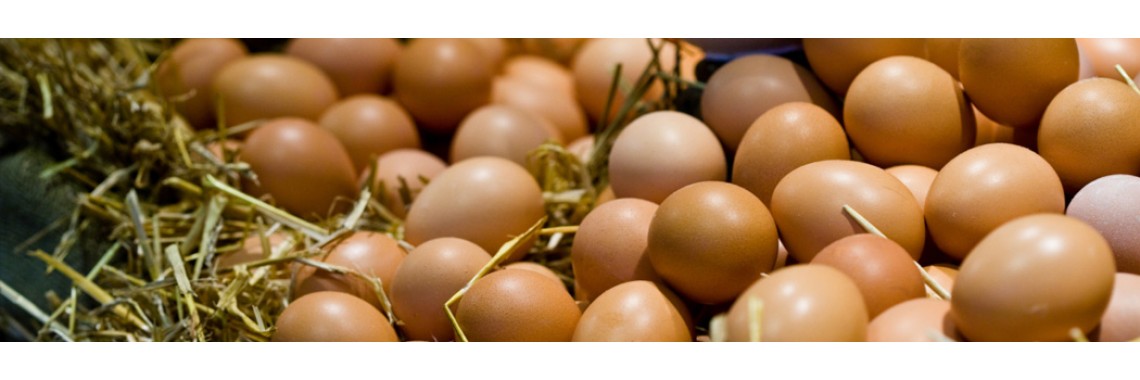 Huevo orgánico