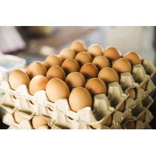 Cartón de Huevos